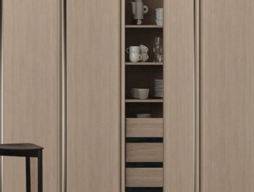 Morin khuur-Inspired Handleless Panel Door