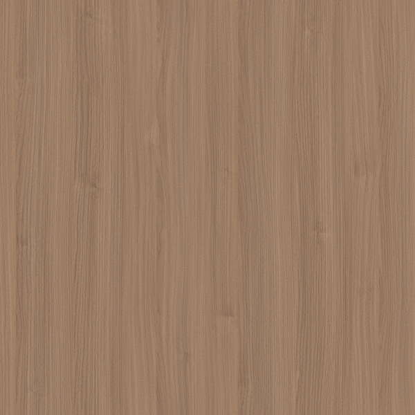 W24-2070-1北美胡桃（north america walnut）