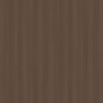 W24-2069-1巴布亚新胡桃 (Papua New walnut)