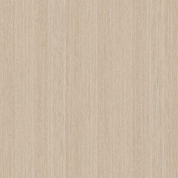 W24-2068-1吉橡 Ancient oak